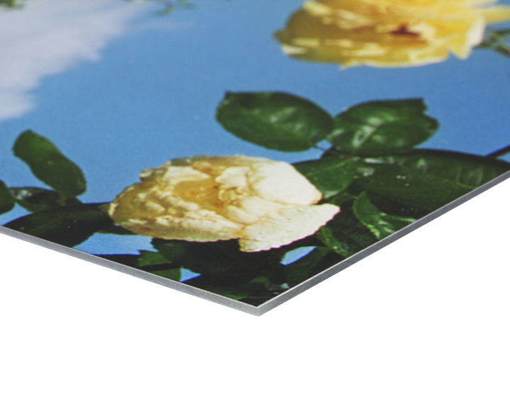 Aluminium Mounting Professional Photo Printing Online Photo